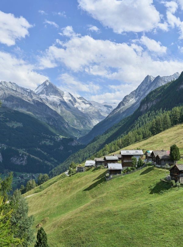 brown wooden house during daytime
